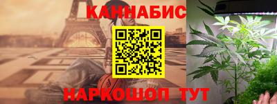 крисы Новозыбков