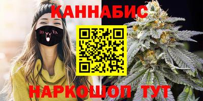 крисы Новозыбков