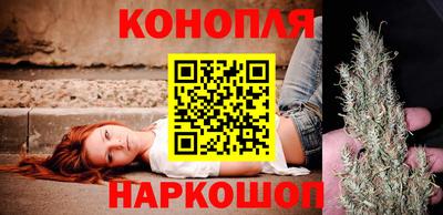 крисы Новозыбков