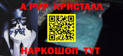 крисы Новозыбков