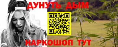 крисы Новозыбков