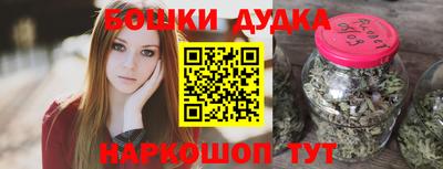 крисы Новозыбков