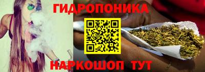 крисы Новозыбков